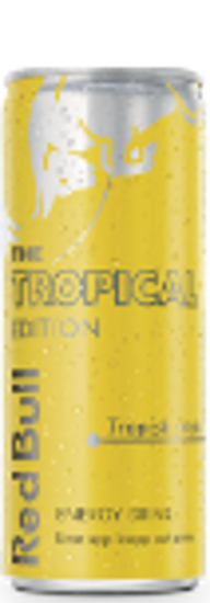 Picture of RED BULL TROPICAL BRK 12X25CL